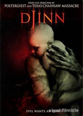 Cin (Djinn)