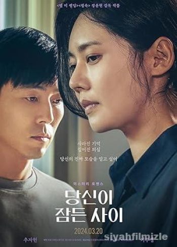 While You Were Sleeping